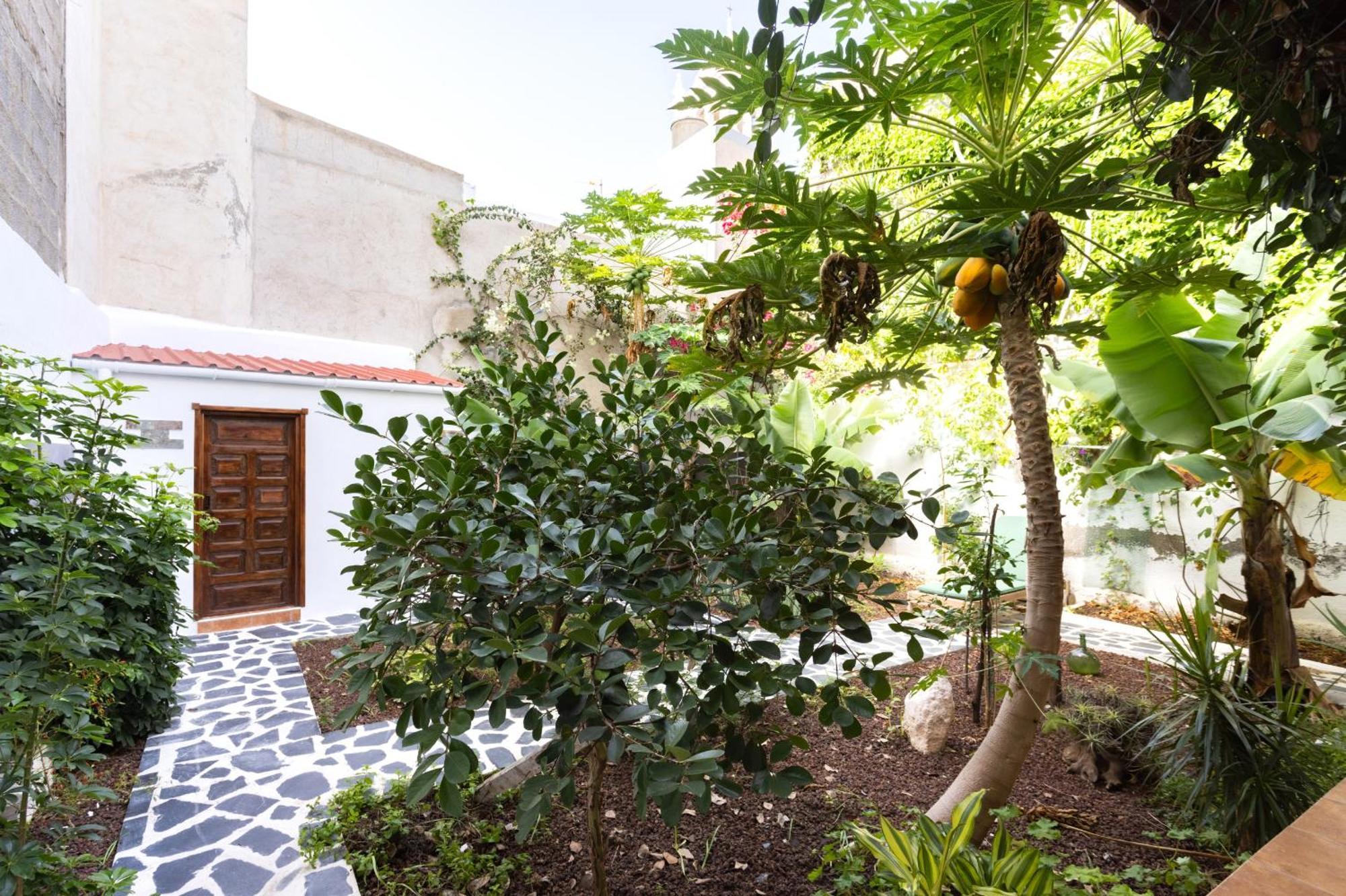 Villa Garachico Center Secret Garden Extérieur photo